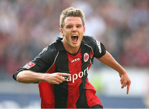 宣示了他们 宣示了他们